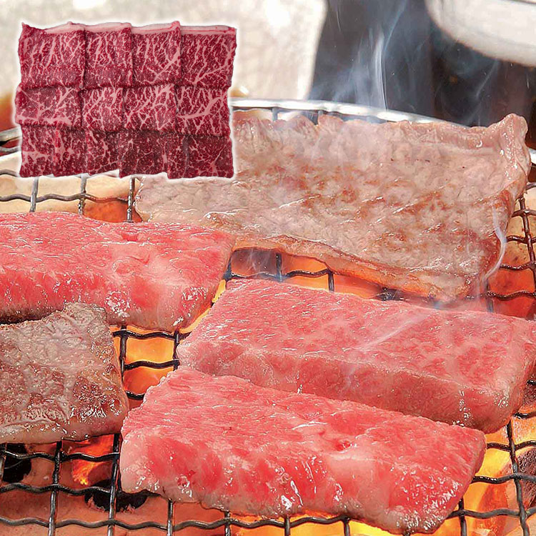 飛騨牛焼肉 450g ギフト 産直 ご当地グルメ 熨斗 贈り物 新生活 お祝い お取り寄せ のし対応 プレゼント 誕生日 (代引不可)【送料無料】