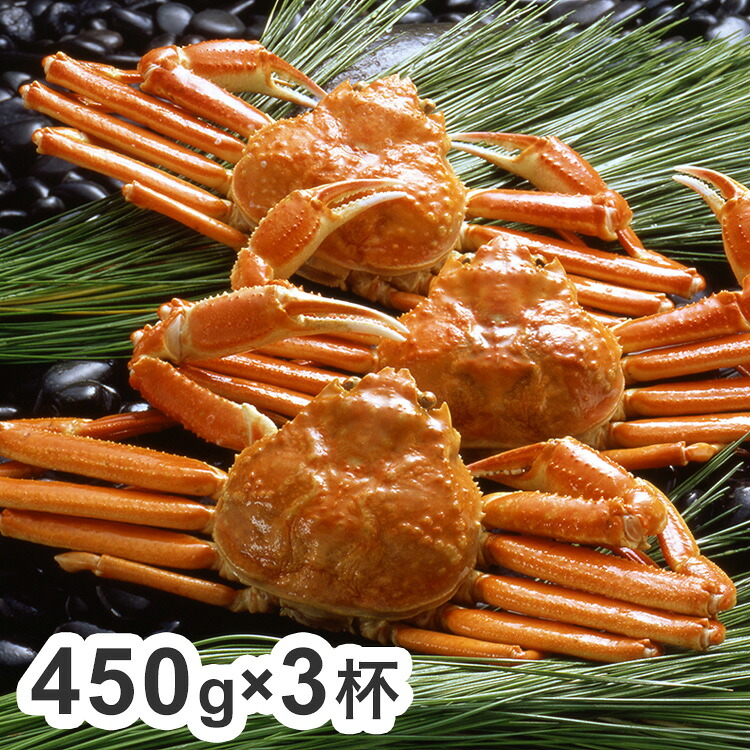 お中元 ボイル ずわいがに 蟹 姿 450g×3杯 カニ ズワイガニ ギフト 産直 ご当地グルメ 熨斗 贈り物 のし対応 (代引不可)【送料無料】|リコメン堂