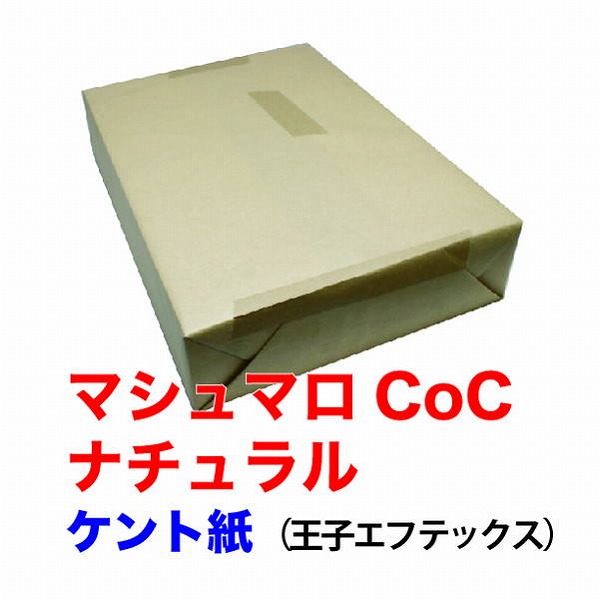まとめ) 王子エフテックス マシュマロCoC菊四(468×316mm)Y目 81.4g 1冊
