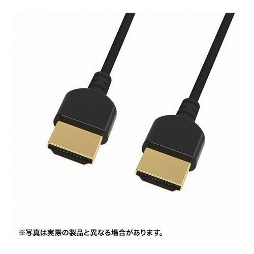 鳥毛布団特集