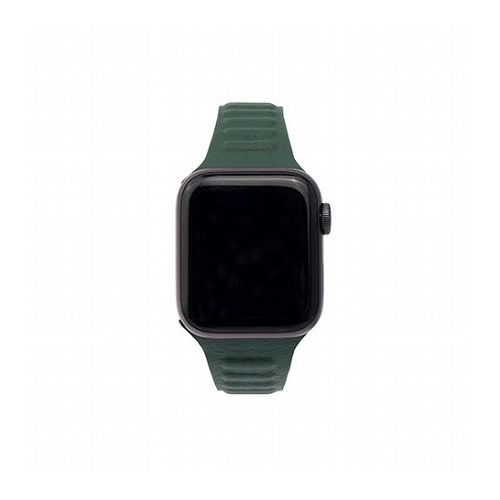WEARPLANET Slim Line マグネットリンクバンド for Apple Watch 45/44/42mm Hooker's Green WP23193AWGR スマートフォン タブレット 携帯電話 iPhone Apple Watch用アクセサリ(代引不可)【メール便配送】【送料無料】