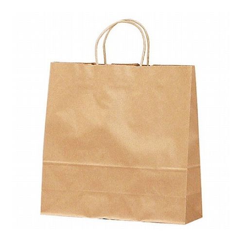 手提げバッグ(中)茶無地(50枚入) 22459206 雑貨 ホビー インテリア 雑貨 雑貨品(代引不可)【送料無料】