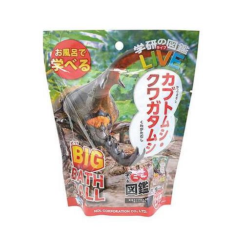 【1ケース(12個入)】 ノルコーポレーション バスボール 発泡タイプの入浴剤 学研の図鑑ライブ カブトムシ・クワガタ BIG GKN0801X12【送料無料】