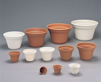 楽天市場】(まとめ) プラスチック製 植木鉢/ポット 【輪鉢 8号 楽天市場】(まとめ) プラスチック製 植木鉢/ポット 【輪鉢 8号