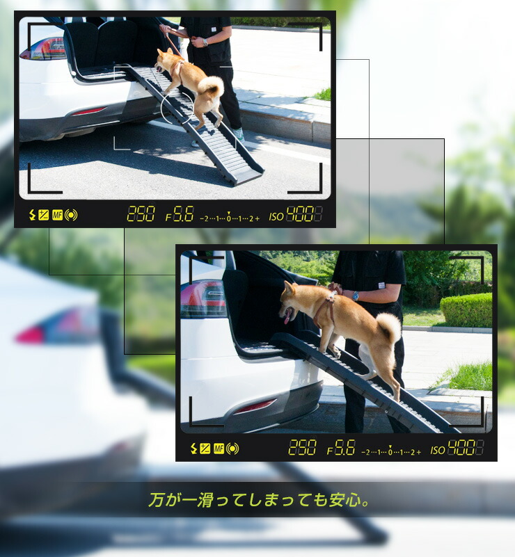 スロープ ペットスロープ ペットステップ 耐荷重75kg 持ち運び 二つ折り 折りたたみ ペット用スロープ コンパクト 段差解消 踏み台 犬 大型犬 小型犬 老犬 ステップ ドッグステップ ドッグスロープ 送料無料 Natural Gaz Org