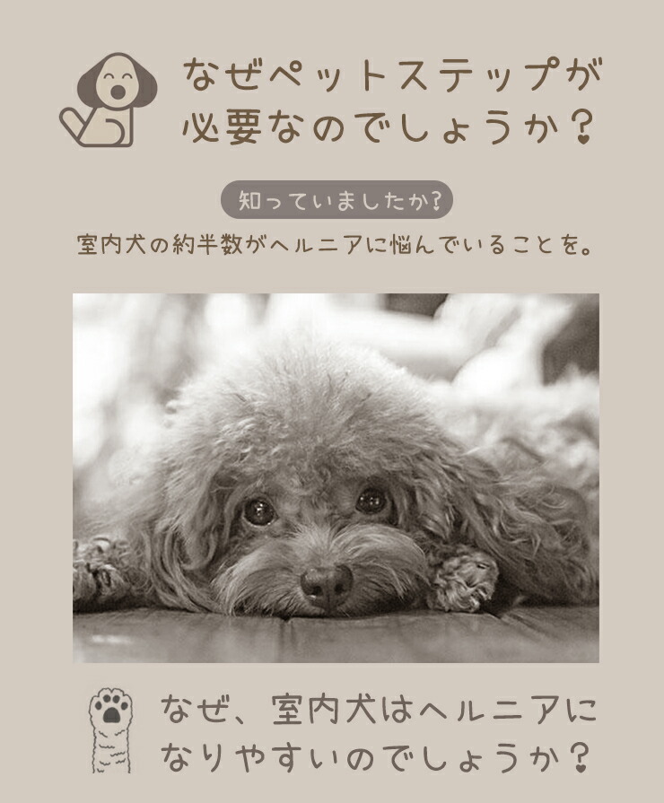 ドッグステップ 3段 収納ボックス付 大容量 滑り止め カバー付き コンパクト ヘルニア 脱臼 予防 負担軽減 室内犬 小型犬 高齢犬 シニア犬 ソファ ペットステップ 送料無料 Doorsinmotioninc Com