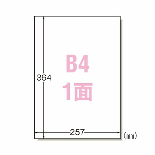 綿毛布団特集