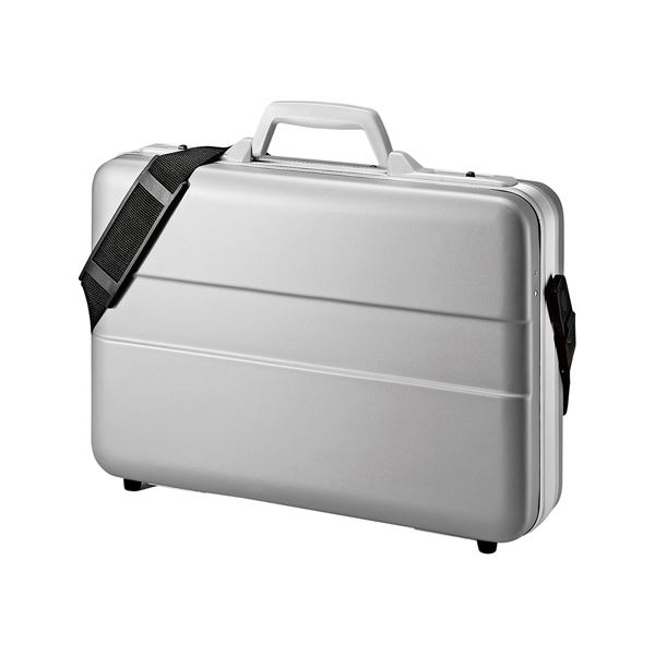 サンワサプライ ABSハードPCケース BAG-ABS5N2 (代引不可)