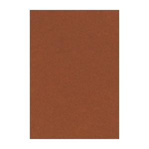 （まとめ） 文運堂 ニューカラーR 八ツ切 横271×縦392mm 8NCR-323 こいこげちゃ 100枚入 【×2セット】