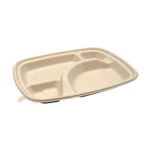 (まとめ) パックスタイル BB竹バガス弁当 N24-20A ラミ 237&times;197&times;高さ25mm 1パック(50枚) 【&times;3セット】 (代引不可)｜リコメン堂