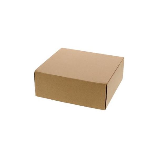 （まとめ）シモジマ ナチュラルBOX Z-4 10枚【×3セット】【送料無料】 (代引不可)