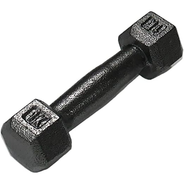 鉄アレー ダンベル 防滑 防傷 転がりにくい仕様 〔スポーツ用品 運動用品〕