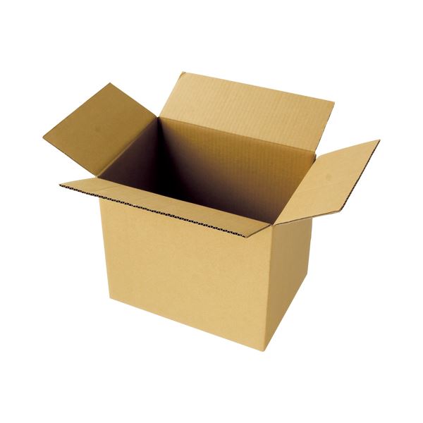 (まとめ)TANOSEE 宅配用ダンボール箱 100-B4 1パック(20枚) 【×3セット】 (代引不可)|リコメン堂