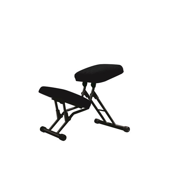 楽天市場】ルネセイコウ セブンポーズチェア SPC-14[ブルー/ブラック色