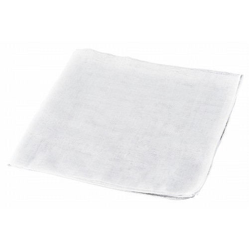 EBM カットガーゼ(10枚入)45×45cm(代引不可)【送料無料】
