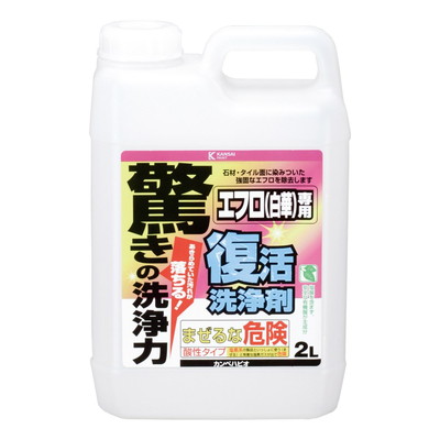 綿毛布団特集