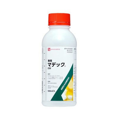 綿毛布団特集