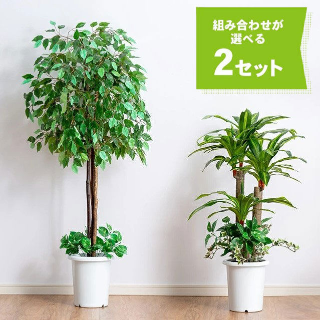 光触媒 人工観葉植物 フェイクグリーン トロピカルベンジャミン 1.8m-