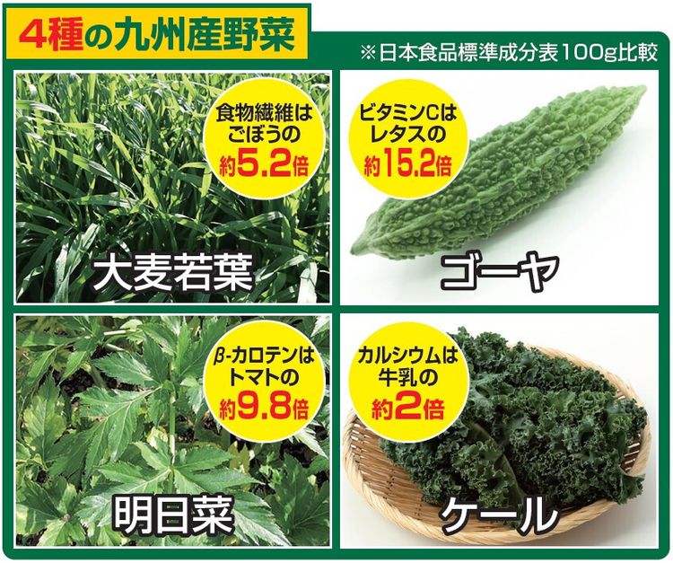 日本薬健 金の青汁 25種の純国産野菜 3.5g×60包 5個セット 乳酸菌×酵素