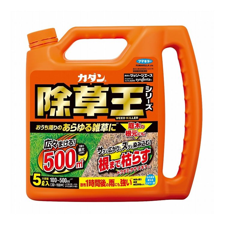 綿羽布団特集
