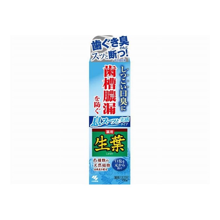 小林製薬 生葉I息スーッと実感100g(代引不可)