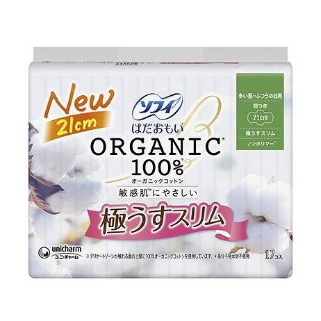 綿毛布団特集