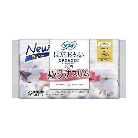 綿毛布団特集
