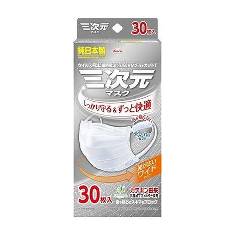 【単品6個セット】 三次元マスクすこし大きめLサイズホワイト30枚(代引不可)【ポイント10倍】【送料無料】|リコメン堂