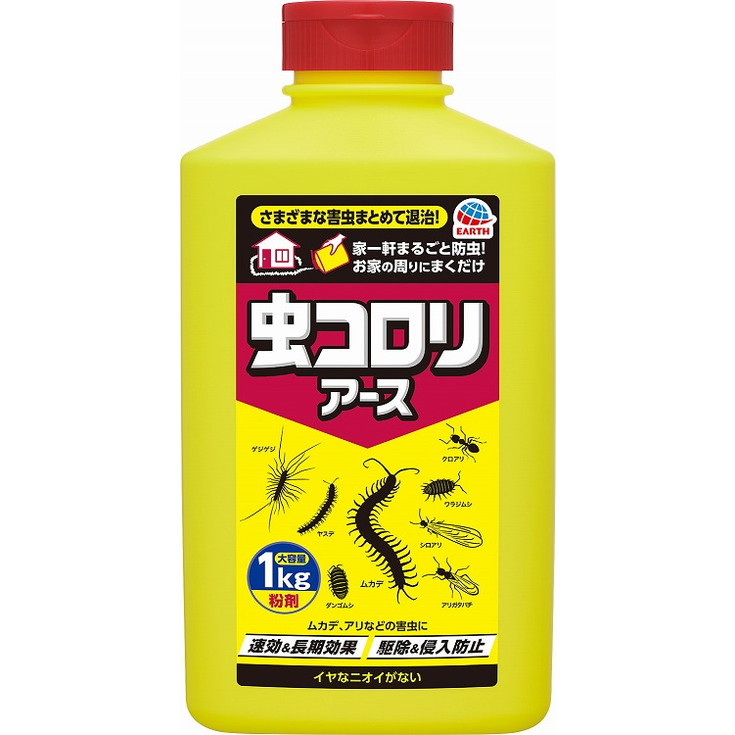 綿羽布団特集