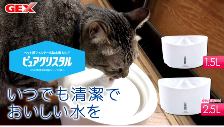 67 Off ジェックス ピュアクリスタル 2 5l 猫用 ホワイト Gex 給水器 フィルター式 自動給水器 ペット用 ねこ ポイント10倍 送料無料 Sferavisia Hr