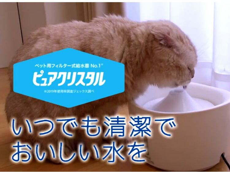 67 Off ジェックス ピュアクリスタル 2 5l 猫用 ホワイト Gex 給水器 フィルター式 自動給水器 ペット用 ねこ ポイント10倍 送料無料 Sferavisia Hr