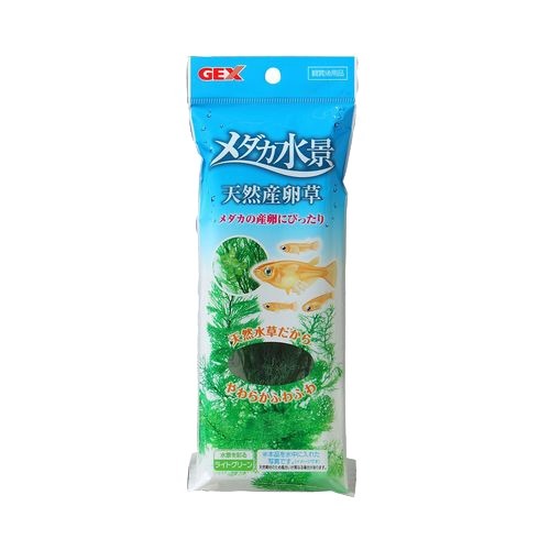 メダカ水景 天然産卵草 ライトグリーン GEX(ジェックス)【ポイント10倍】 メダカ水景 天然産卵草 ライトグリーン GEX(ジェックス)【ポイント10倍】