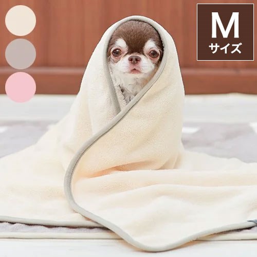 おぬぬさん専用 Amazon.co.jp: サンエックス すみっコぐらし 「こいぬといぬ