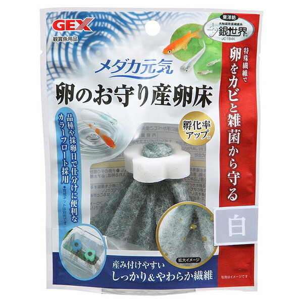 ジェックス メダカ元気 卵のお守り産卵床 白【ポイント10倍】 ジェックス メダカ元気 卵のお守り産卵床 白【ポイント10倍】