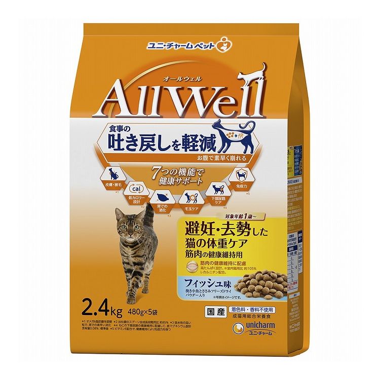 綿毛布団特集