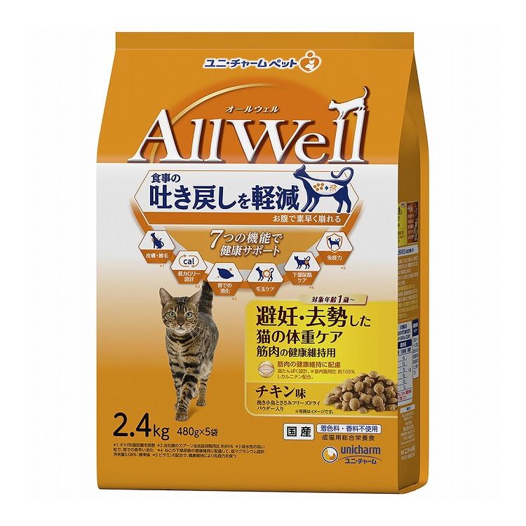 綿毛布団特集