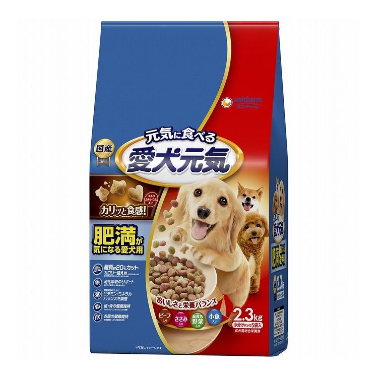 鳥毛布団特集