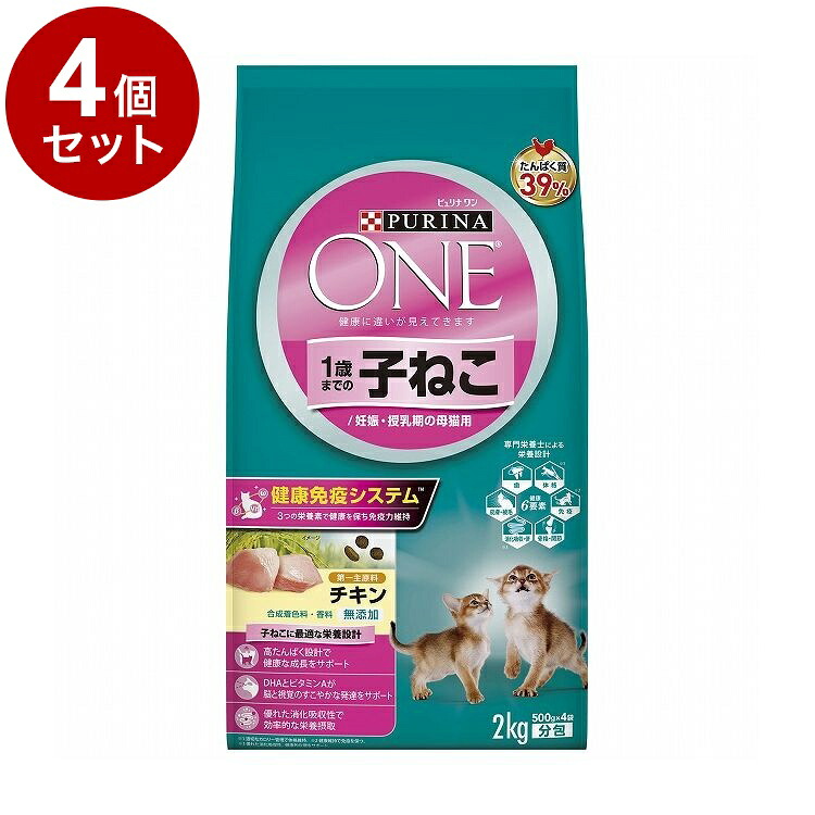 綿毛布団特集