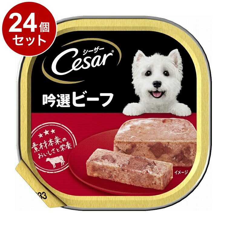 【24個セット】 シーザー 吟選ビーフ 100g【ポイント10倍】【送料無料】
