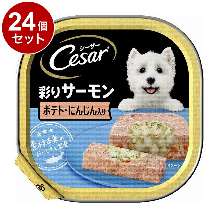 【24個セット】 シーザー 彩りサーモン ポテト・にんじん入り 100g【ポイント10倍】【送料無料】