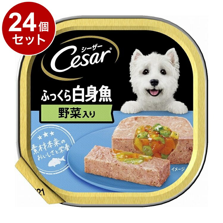 【24個セット】 シーザー ふっくら白身魚 野菜入り 100g【ポイント10倍】【送料無料】