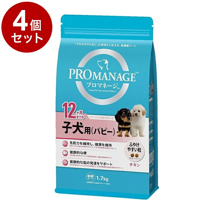 鳥毛布団特集