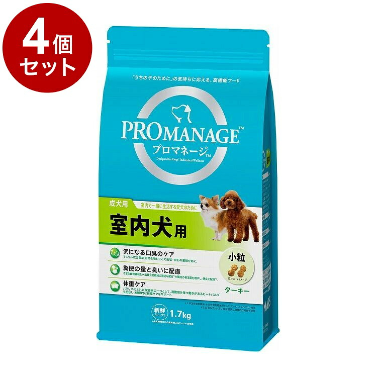 鳥毛布団特集