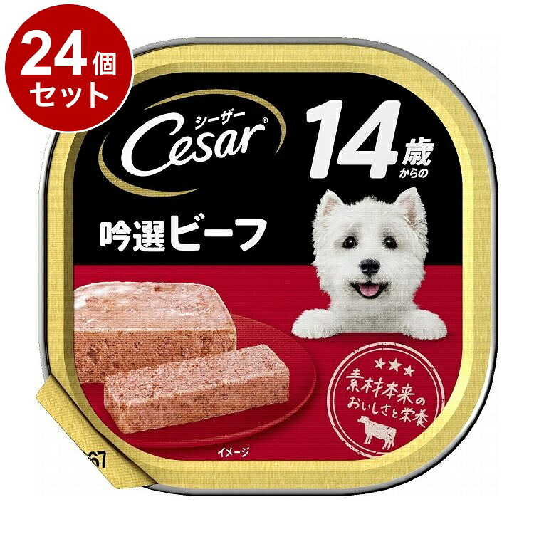【24個セット】 シーザー 14歳からの 吟選ビーフ 100g【ポイント10倍】【送料無料】