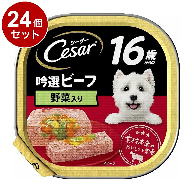【24個セット】 シーザー 16歳からの 吟選ビーフ 野菜入り 100g【ポイント10倍】【送料無料】
