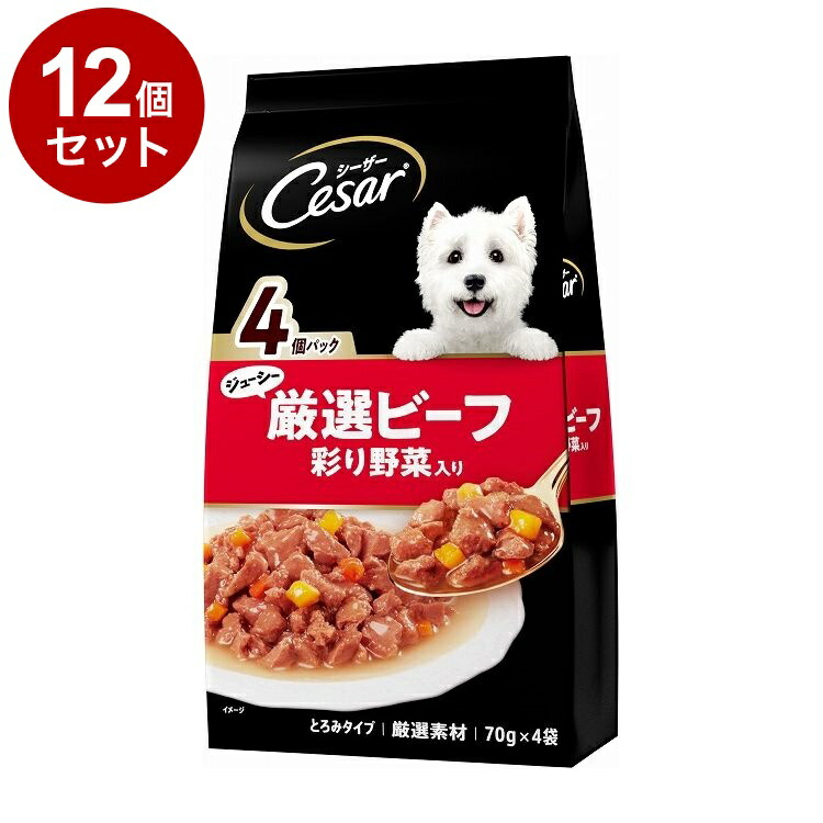 【12個セット】 シーザー ジューシー厳選ビーフ入り 彩り野菜入り 70g×4袋【ポイント10倍】【送料無料】
