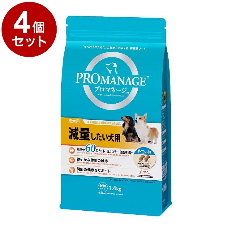 鳥毛布団特集
