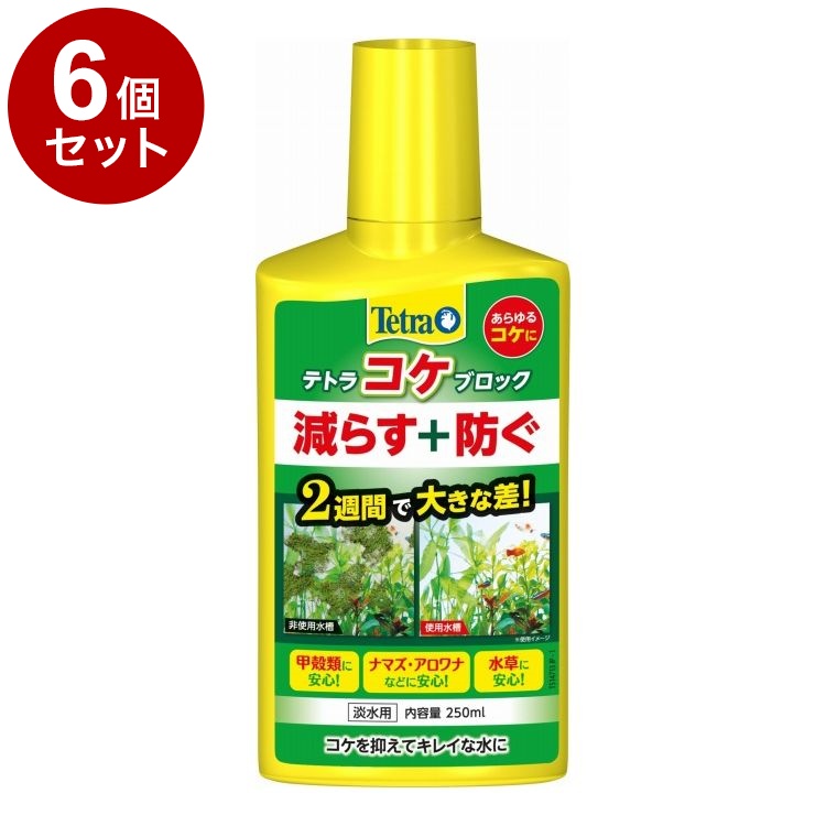 【6個セット】 テトラ コケブロック 250ml【ポイント10倍】【送料無料】