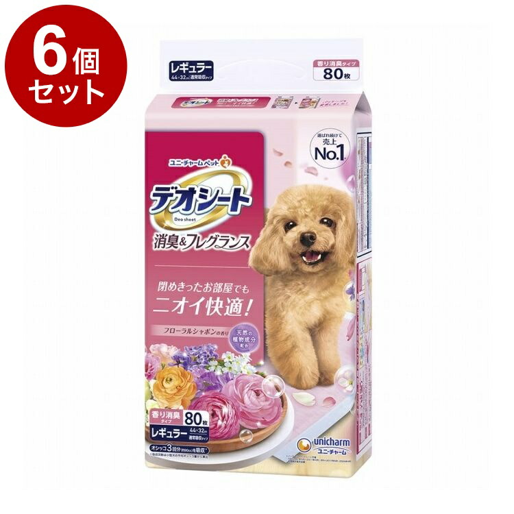 綿毛布団特集