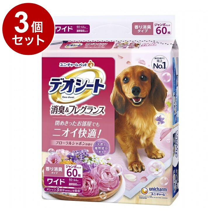 鳥毛布団特集